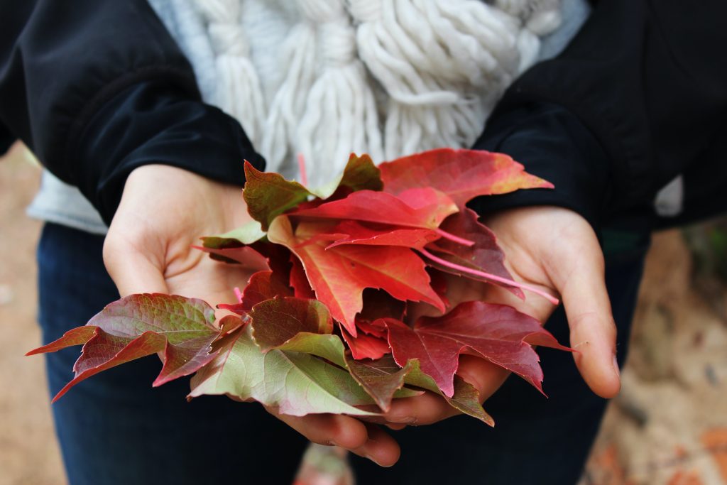 autumn